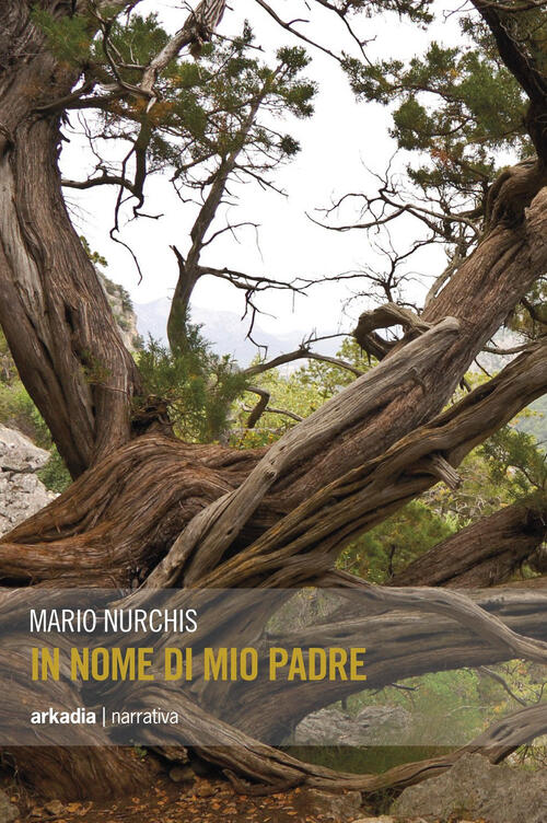 In Nome Di Mio Padre