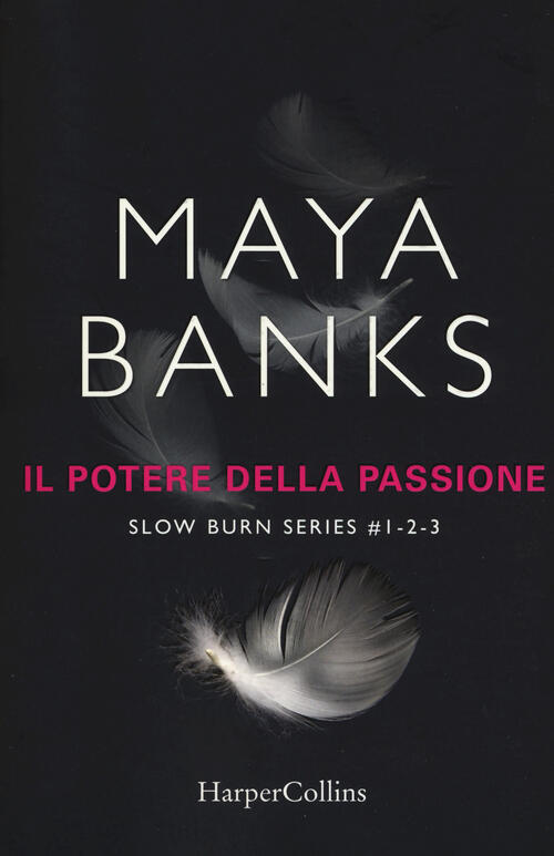 Il Potere Della Passione. Slow Burn Series: Proteggimi-Tienimi-Salvami. Vol. 1