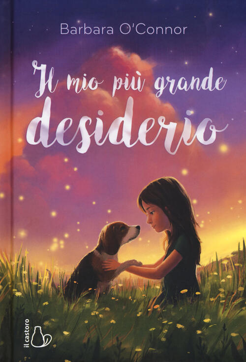 Il Mio Piu Grande Desiderio Barbara O'connor Il Castoro 2018