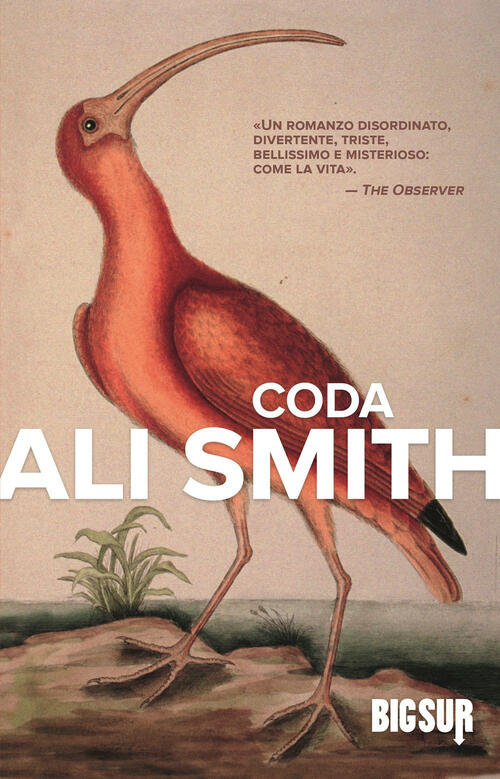 Coda Ali Smith Sur 2023