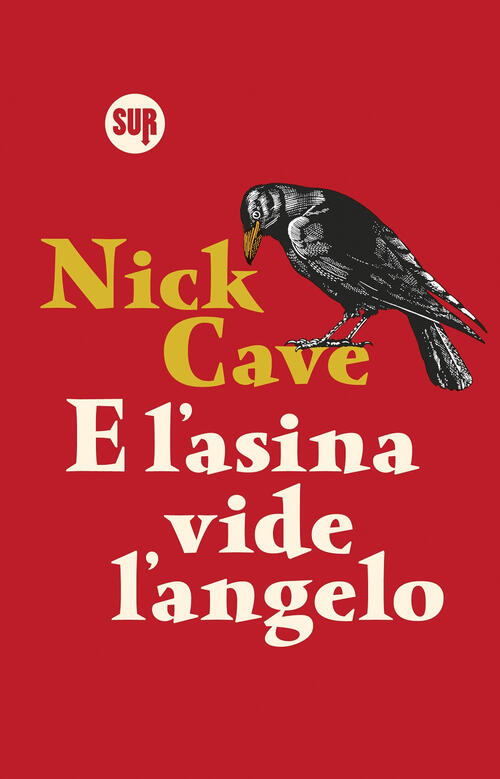 E L'asina Vide L'angelo Nick Cave Sur 2024