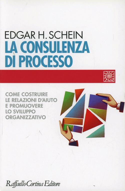 La Consulenza Di Processo. Come Costruire Le Relazioni D'aiuto E Promuovere Lo