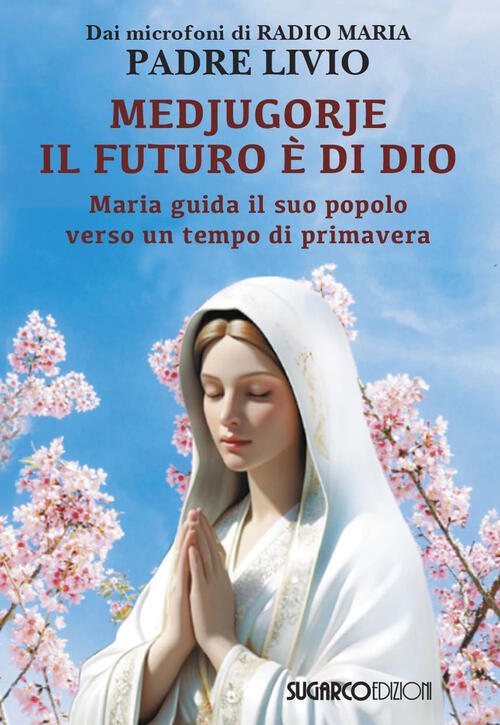 Medjugorje: Il Futuro E Di Dio. Maria Guida Il Suo Popolo Verso Un Tempo Di Pr