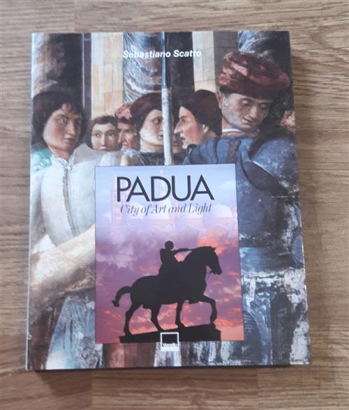 Padua City Of Art