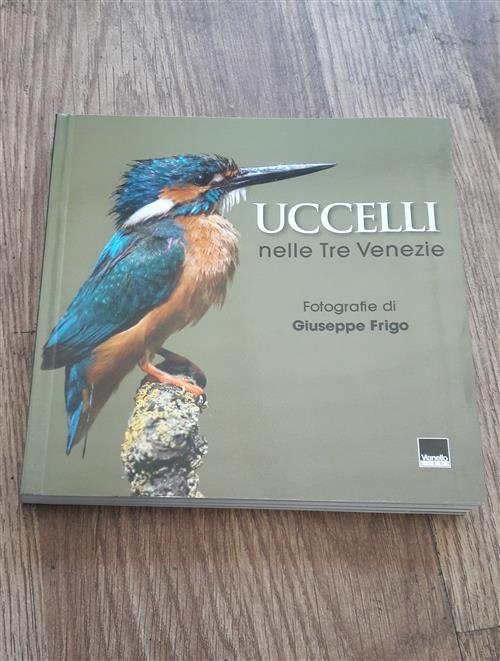 Uccelli Nelle Tre Venezie