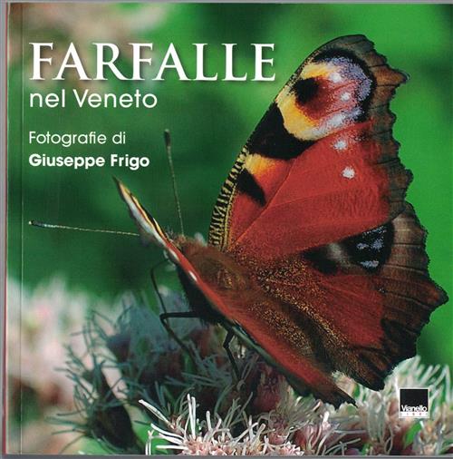 Farfalle Nel Veneto