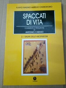 Spaccati Di Vita. Vol. 3: I Salmi Delle Ascensioni