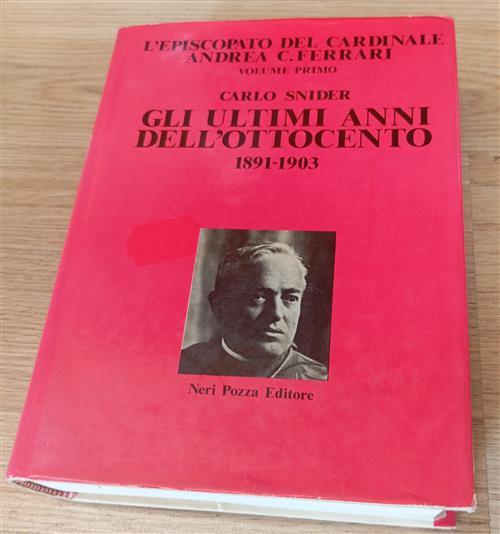 L' Episcopato Del Cardinale Andrea C. Ferrari. Vol. 1: Gli Ultimi Anni Dell'ot