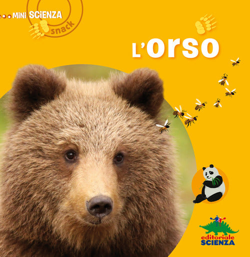 L' Orso