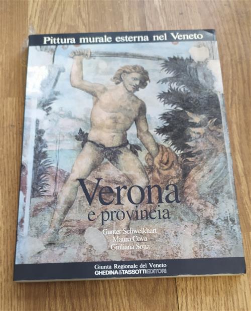 Pittura Murale Esterna Nel Veneto. Vol. 3: Verona E Provincia.