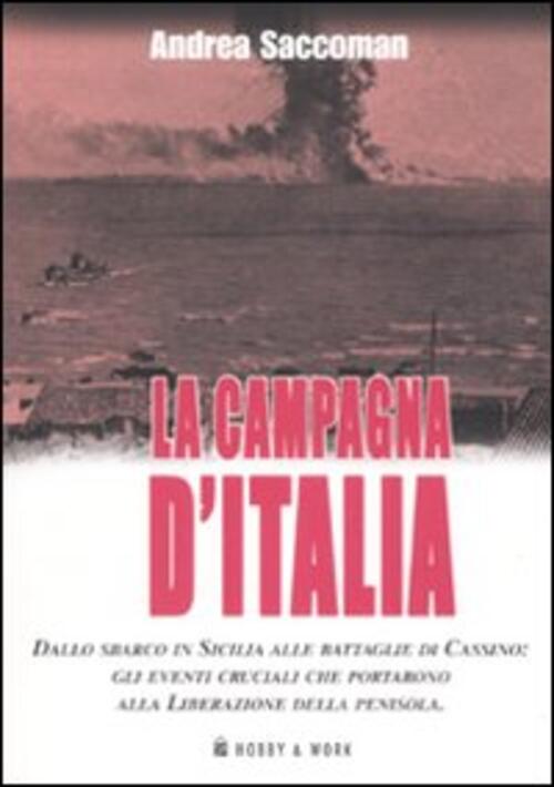 La Campagna D'italia. Dallo Sbarco In Sicilia Alle Battaglie Di Cassino: Gli Eventi Cruciali