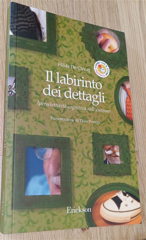 Il Labirinto Dei Dettagli. Iperselettivita Cognitiva Nell'autismo Hilde De Cle