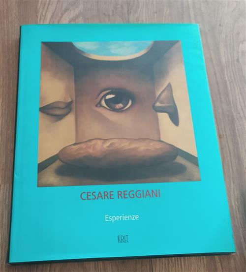 Cesare Reggiani. Esperienze