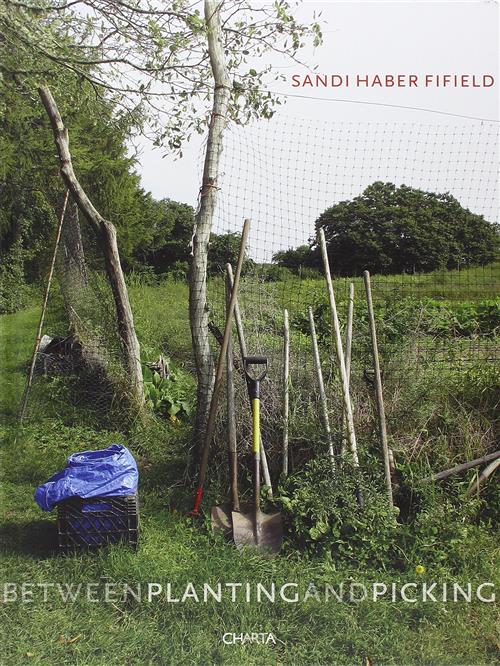 Sandi Haber Fifield. Between Planting And Picking