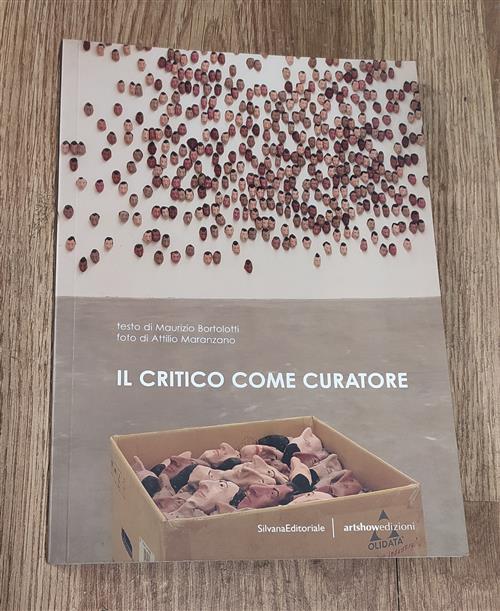Il Critico Come Curatore Maurizio Bortolotti Silvana 2003