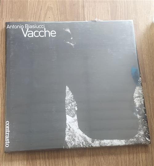 Vacche