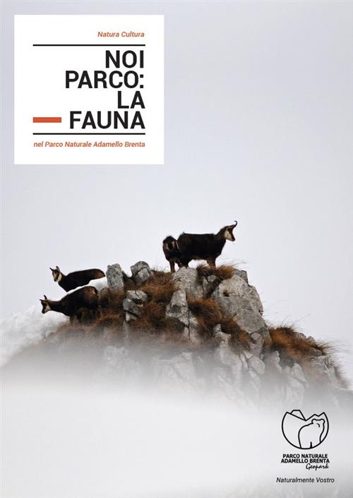 Noi Parco: La Fauna Nel Parco Naturale Adamello Brenta Natura Cultura Parco Na