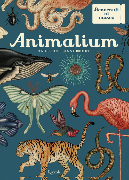 Animalium. Il Grande Museo Degli Animali Katie Scott Mondadori Electa 2021