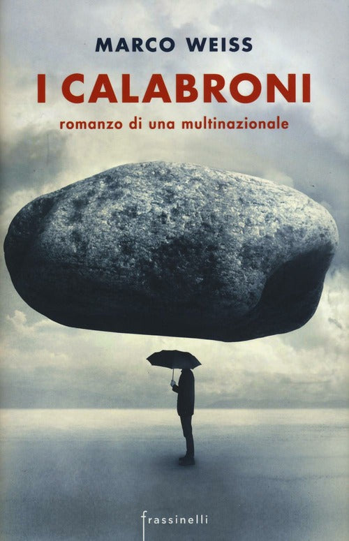 I Calabroni. Romanzo Di Una Multinazionale Marco Weiss Sperling & Kupfer 2017