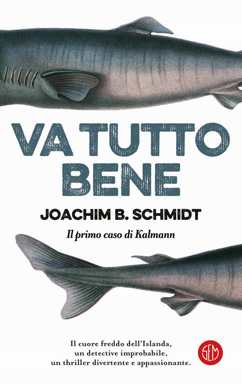 Va Tutto Bene. Il Primo Caso Di Kalmann Joachim B. Schmidt Sem 2024