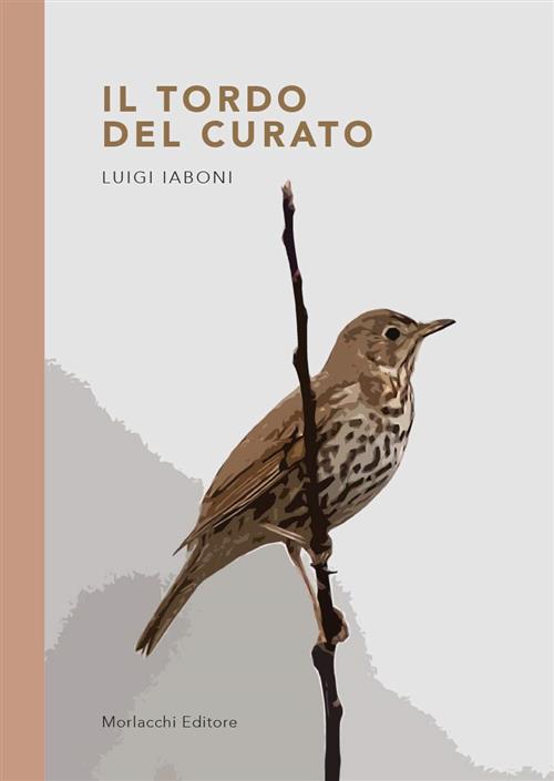 Il Tordo Del Curato Luigi Iaboni Morlacchi 2019