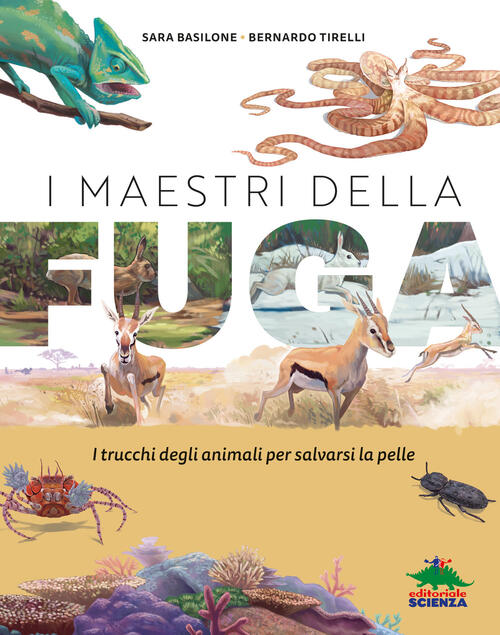 I Maestri Della Fuga Sara Basilone Editoriale Scienza 2025