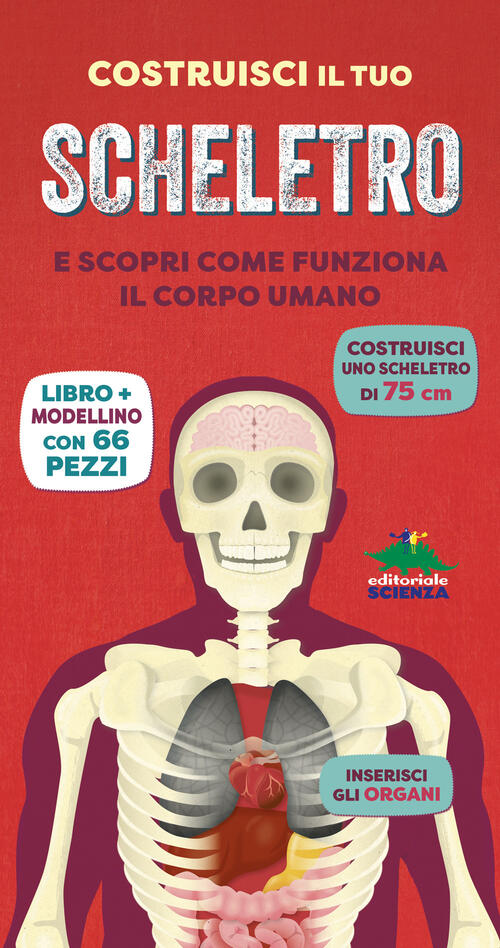 Costruisci Il Tuo Scheletro E Scopri Come Funziona Il Corpo Umano. Con Modelli