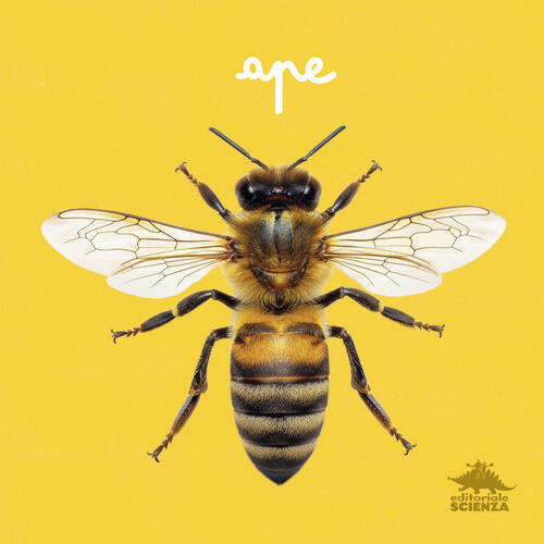 Ape. Primi Libri Fotografici Per Osservare La Natura Da Vicino! Ediz. A Colori