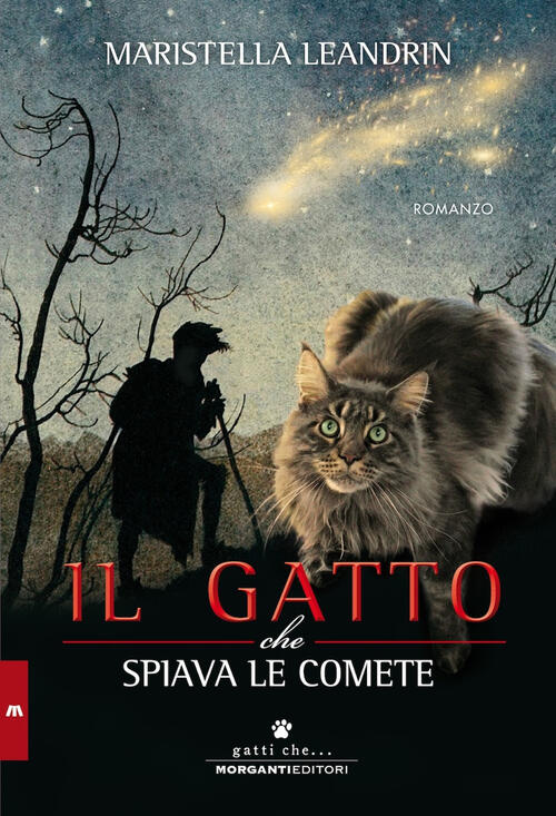 Il Gatto Che Spiava Le Comete Maristella Leandrin Morganti Editori 2017