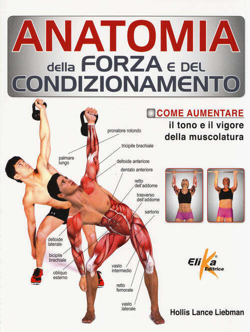 Anatomia Della Forza E Del Condizionamento Lance Liebman Hollis Elika 2014
