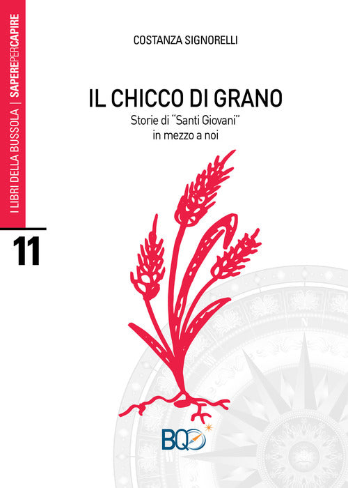 Il Chicco Di Grano. Storie Di Santi Giovani, In Mezzo A Noi Costanza Signorell