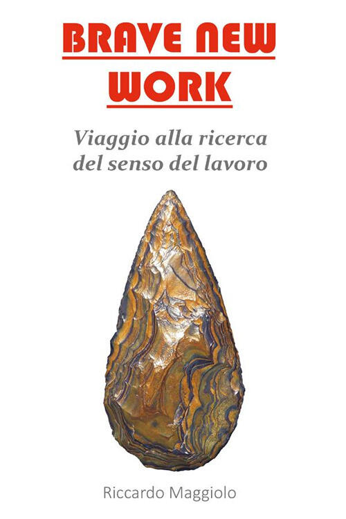 Brave New Work. Viaggio Alla Ricerca Del Senso Del Lavoro Riccardo Maggiolo St