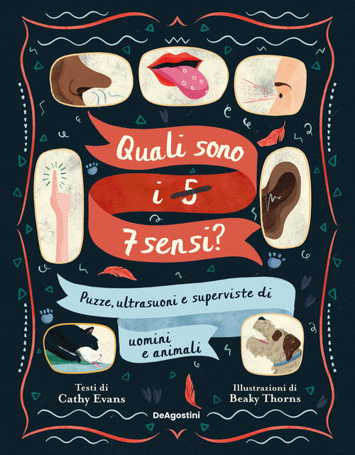 Quali Sono I 5-7 Sensi? Puzze, Ultrasuoni E Superviste Di Uomini E Animali Cat