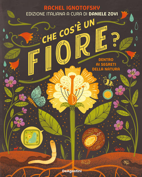 Che Cos'e Un Fiore? Dentro Ai Segreti Della Natura Rachel Ignotofsky De Agosti