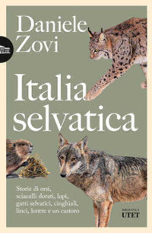 Italia Selvatica. Storie Di Orsi, Lupi, Gatti Selvatici, Cinghiali, Lontre, Sc