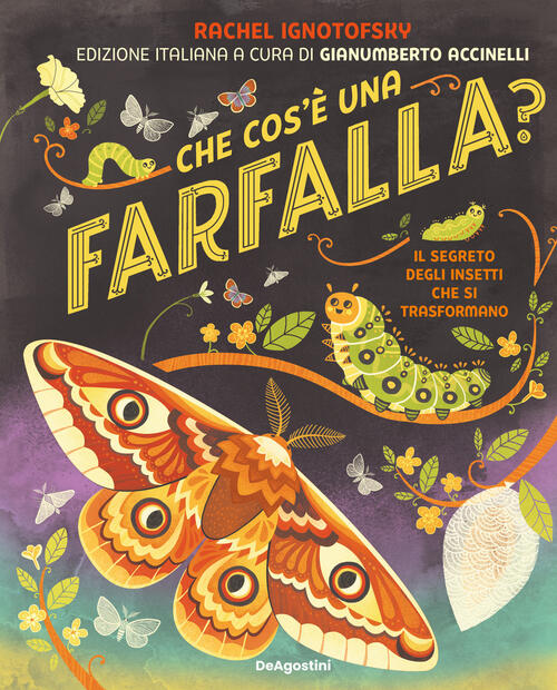 Che Cos'e Una Farfalla? Il Segreto Degli Insetti Che Si Trasformano Rachel Ign