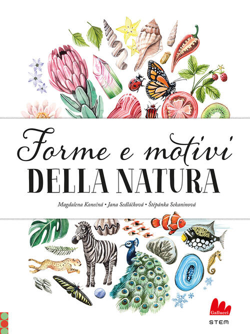 Forme E Motivi Della Natura Jana Sedlackova Gallucci 2024