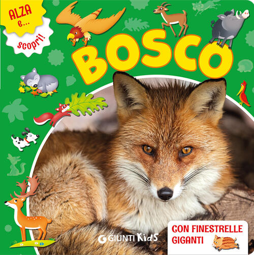 Il Bosco Gianna Porciatti Giunti Editore 2025