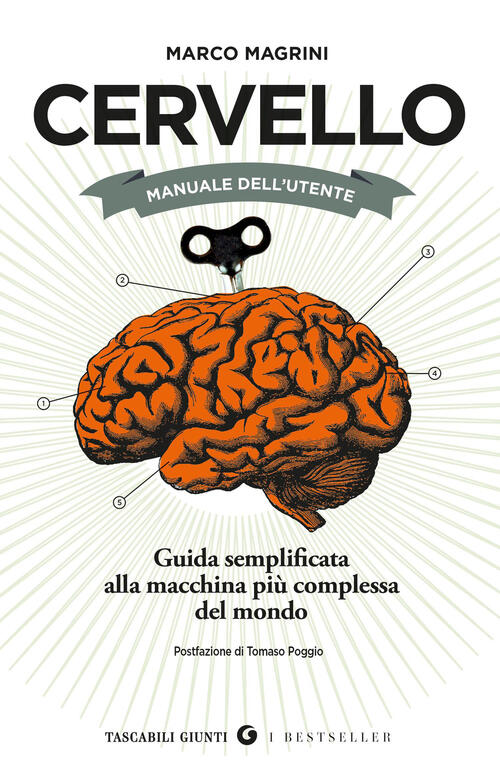 Cervello. Manuale Dell'utente. Guida Semplificata Alla Macchina Piu Complessa