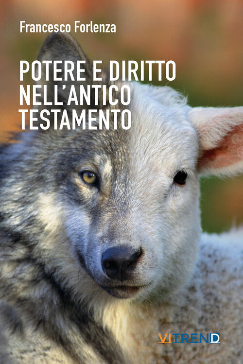 Potere E Diritto Nell'antico Testamento. Un Itinerario Tra La Storia E Gli Ist