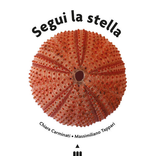 Segui La Stella Chiara Carminati Lapis 2025
