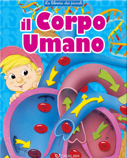 Il Corpo Umano. La Libreria Dei Piccoli Maria Elena Gonano Crealibri 2024