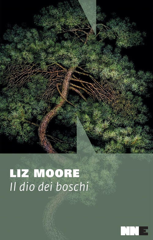 Il Dio Dei Boschi Liz Moore Nn Editore 2024