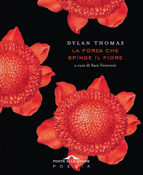 La Forza Che Spinge Il Fiore Dylan Thomas Ponte Alle Grazie 2025