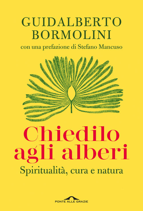 Chiedilo Agli Alberi. Spiritualita, Cura E Natura Guidalberto Bormolini Ponte
