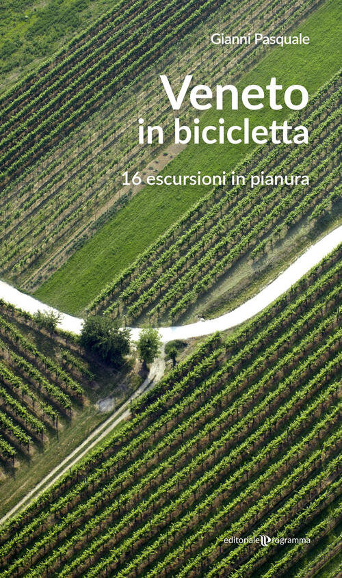 Veneto In Bicicletta. 16 Escursioni In Pianura Gianni Pasquale Editoriale Prog