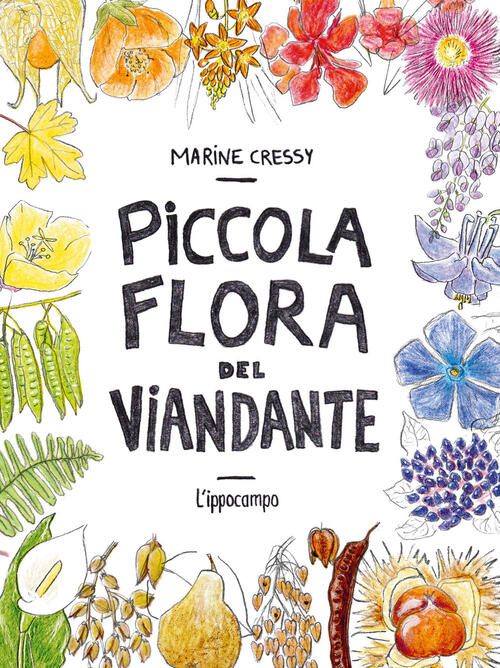 Piccola Flora Del Viandante Marine Cressy L'ippocampo 2025
