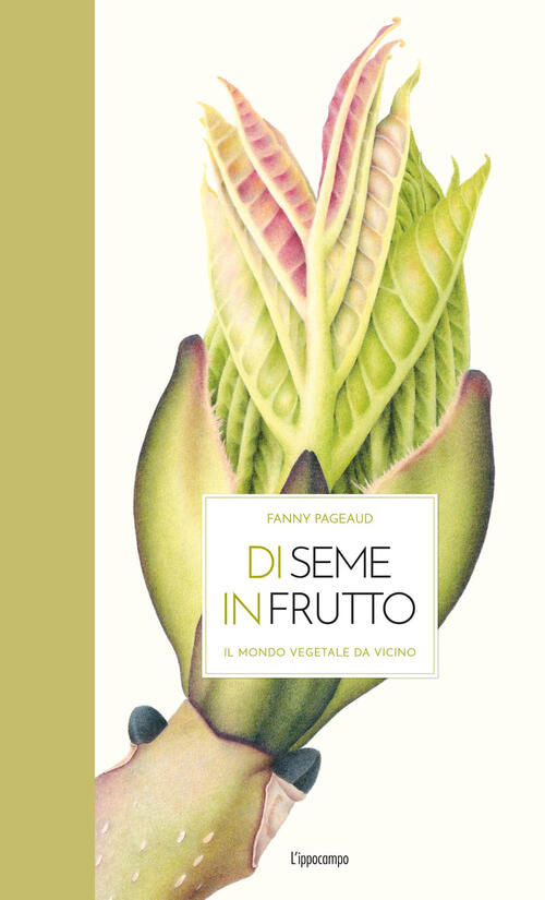 Di Seme In Frutto. Il Mondo Vegetale Da Vicino Fanny Pageaud L'ippocampo 2025