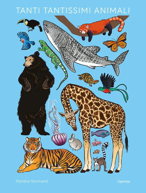 Tanti Tantissimi Animali. Album Scoperte Marlene Normand L'ippocampo 2026