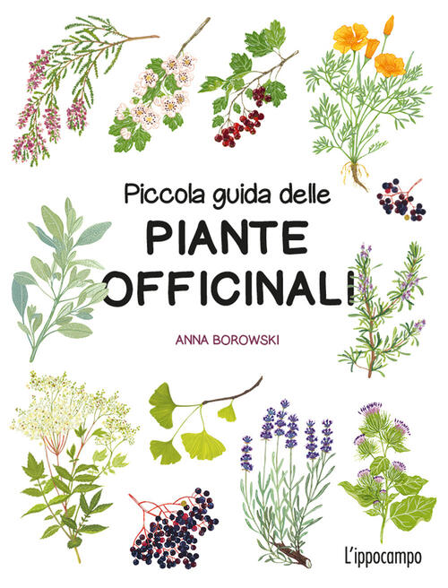 Piccola Guida Delle Piante Officinali Anna Borowski L'ippocampo 2026